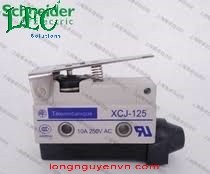 LIMIT SWITCH WITH SHORT LEVER - XCJ125